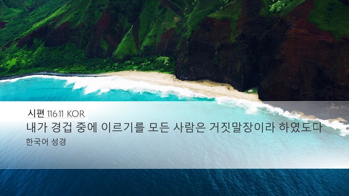 시편 116:11 KOR Bible Verse Image