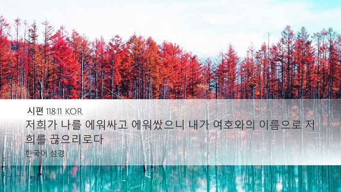시편 118:11 KOR Desktop Wallpaper - 저희가 나를 에워싸고 에워쌌으니 - Desktop Bible Verse Wallpaper
