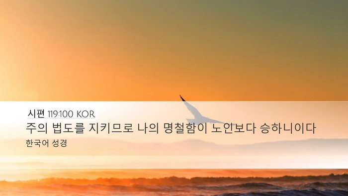 시편 119:100 KOR Bible Verse Image