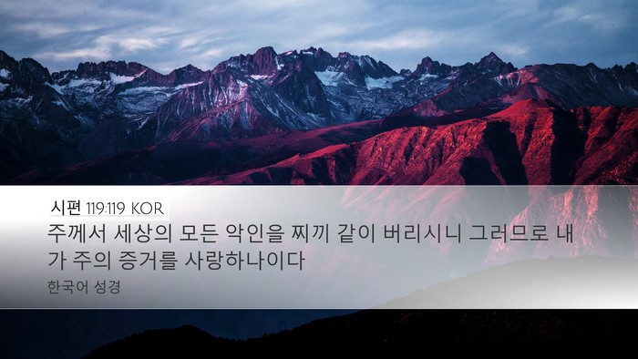 시편 119:119 KOR Bible Verse Image