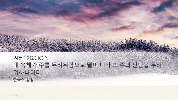 시편 119:120 KOR Bible Verse Image