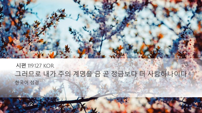 시편 119:127 KOR Bible Verse Image