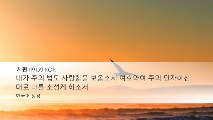 시편 119:159 KOR Desktop Wallpaper - 내가 주의 법도 사랑함을 보옵소서 - Desktop Bible Verse Wallpaper
