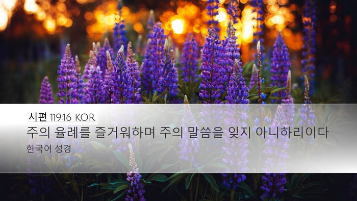 시편 119:16 KOR Bible Verse Image