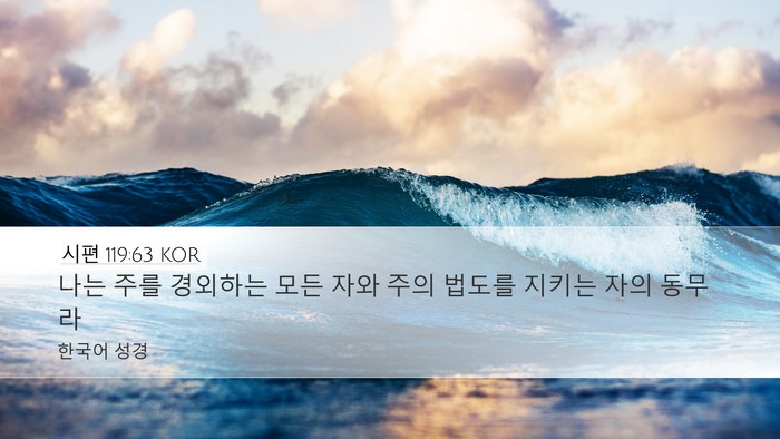 시편 119:63 KOR Bible Verse Image