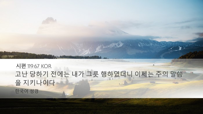 시편 119:67 KOR Bible Verse Image