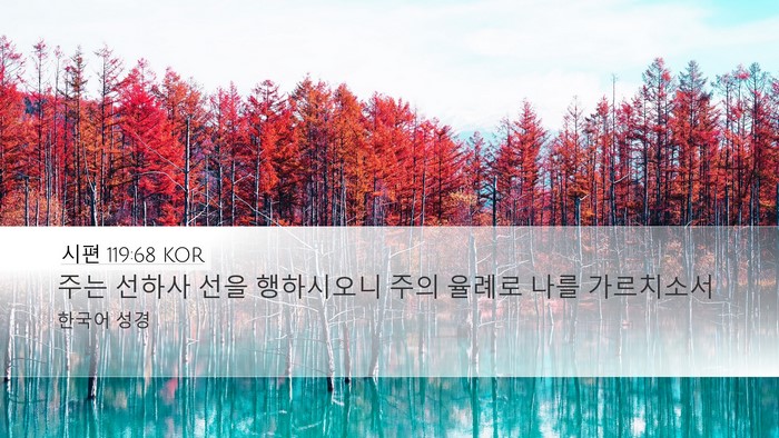 시편 119:68 KOR Bible Verse Image