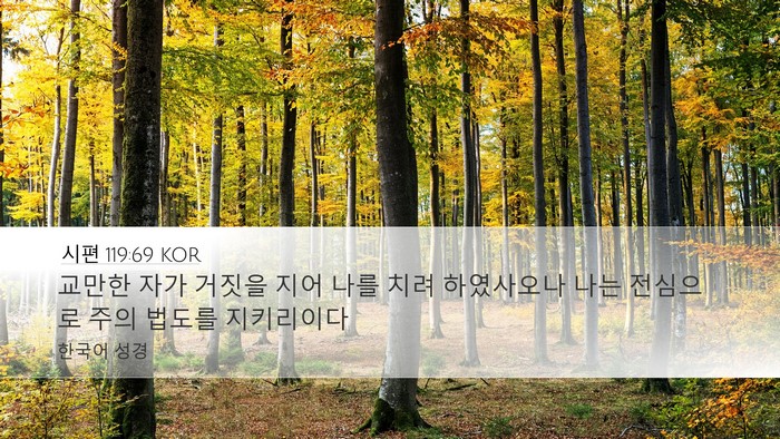 시편 119:69 KOR Bible Verse Image