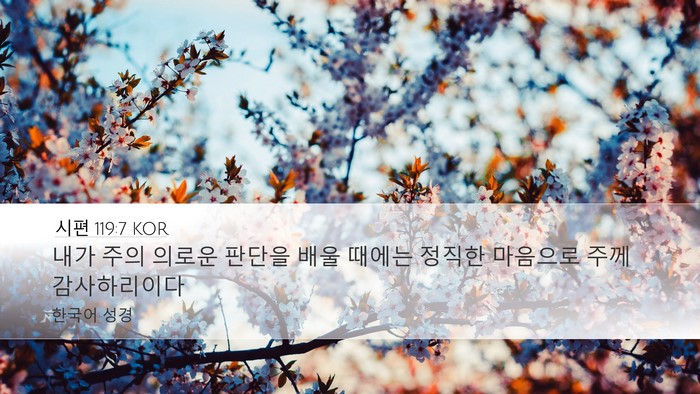 시편 119:7 KOR Desktop Wallpaper - 내가 주의 의로운 판단을 배울 - Desktop Bible Verse Wallpaper