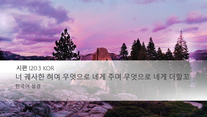 시편 120:3 KOR Bible Verse Image