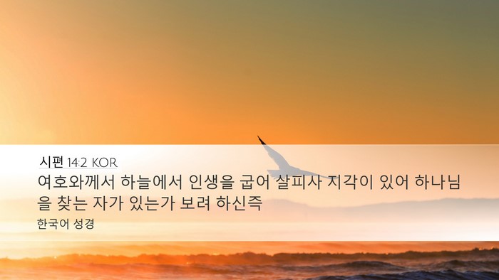 시편 14:2 KOR Bible Verse Image