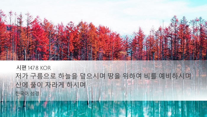 시편 147:8 KOR Desktop Wallpaper - 저가 구름으로 하늘을 덮으시며 땅을 - Desktop Bible Verse Wallpaper
