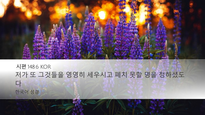 시편 148:6 KOR Desktop Wallpaper - 저가 또 그것들을 영영히 세우시고 - Desktop Bible Verse Wallpaper