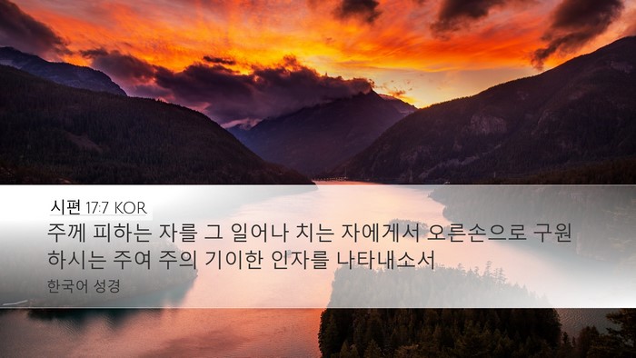 시편 17:7 KOR Bible Verse Image