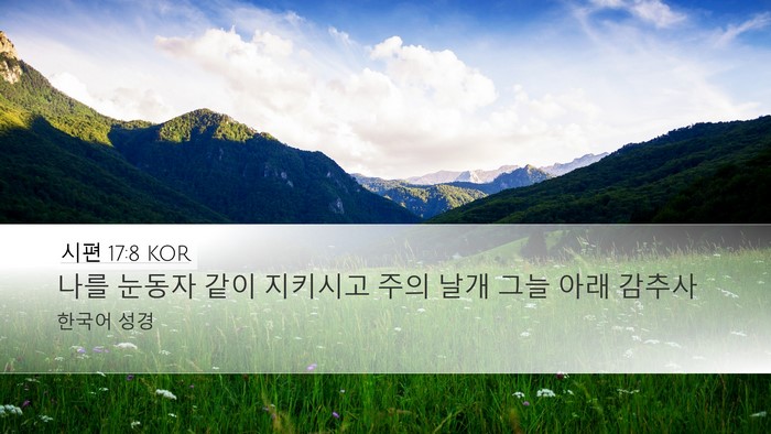 시편 17:8 KOR Bible Verse Image