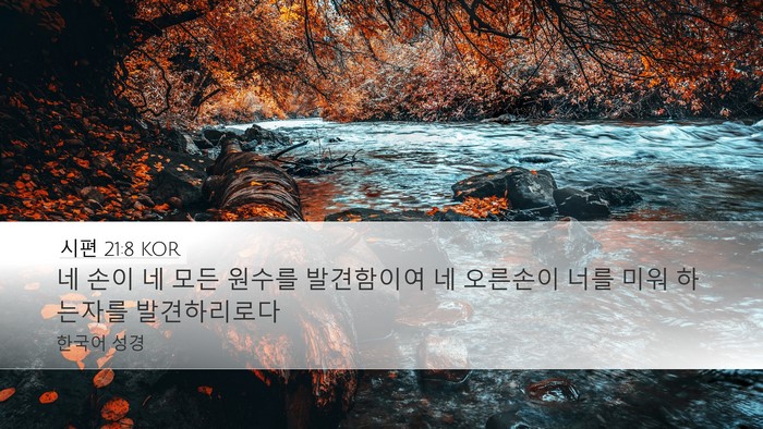시편 21:8 KOR Bible Verse Image