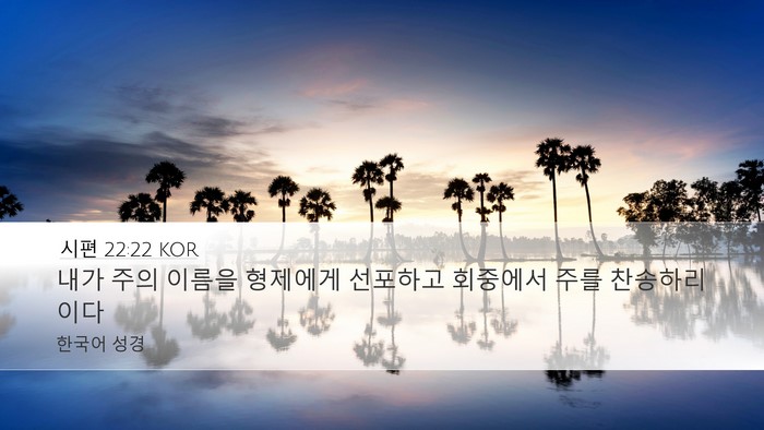 시편 22:22 KOR Bible Verse Image