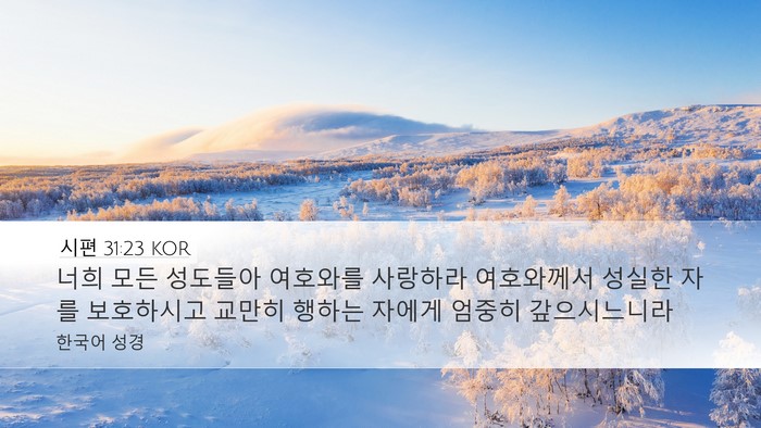 시편 31:23 KOR Bible Verse Image