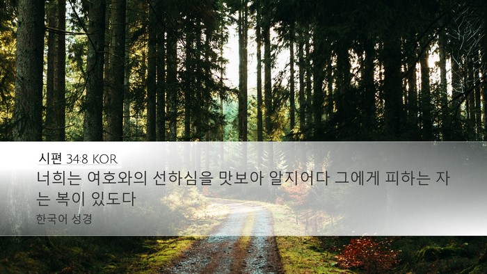 시편 34:8 KOR Bible Verse Image