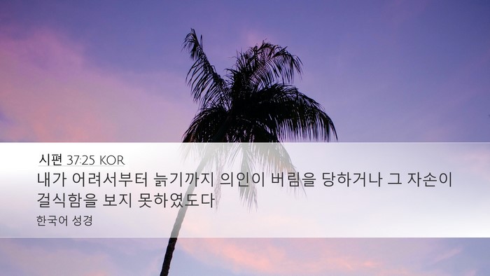 시편 37:25 KOR Bible Verse Image