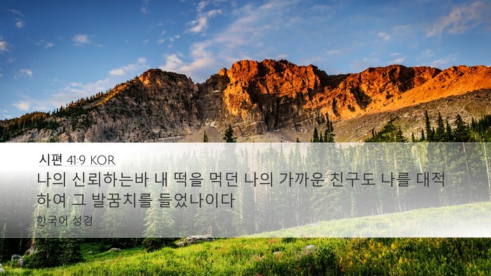 시편 41:9 KOR Bible Verse Image