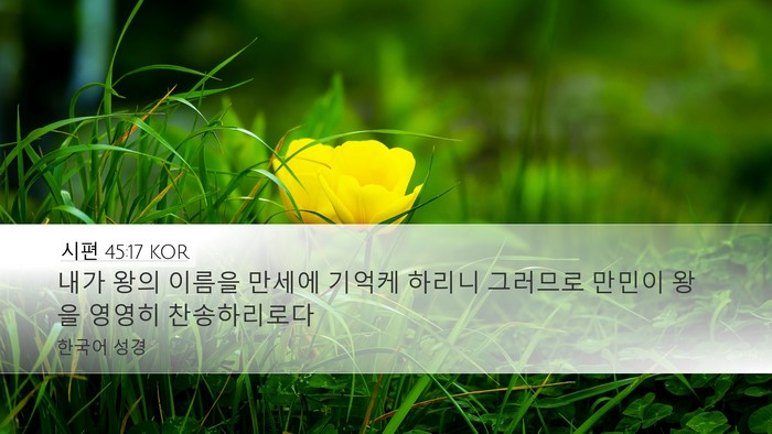 시편 45:17 KOR Desktop Wallpaper - 내가 왕의 이름을 만세에 기억케 - Desktop Bible Verse Wallpaper