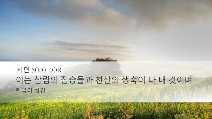 시편 50:10 KOR Desktop Wallpaper - 이는 삼림의 짐승들과 천산의 생축이 - Desktop Bible Verse Wallpaper