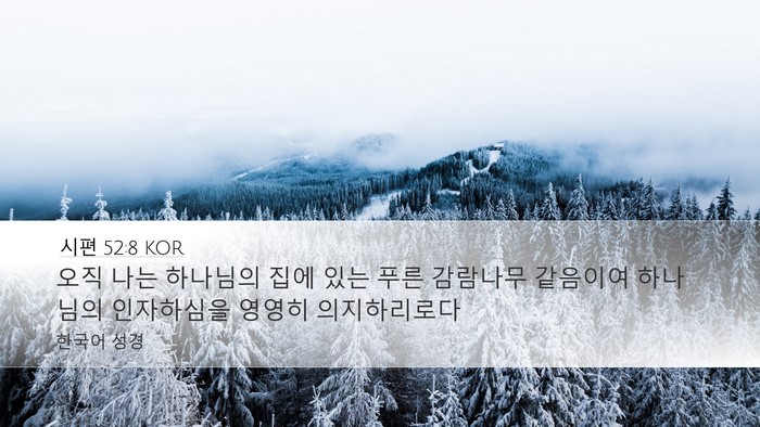 시편 52:8 KOR Desktop Wallpaper - 오직 나는 하나님의 집에 있는 푸른 - Desktop Bible Verse Wallpaper