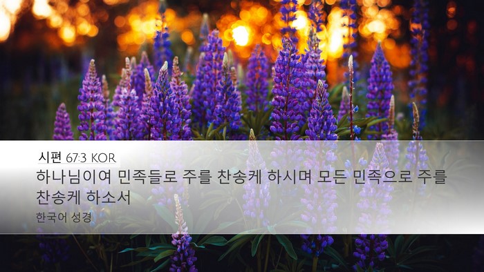 시편 67:3 KOR Bible Verse Image
