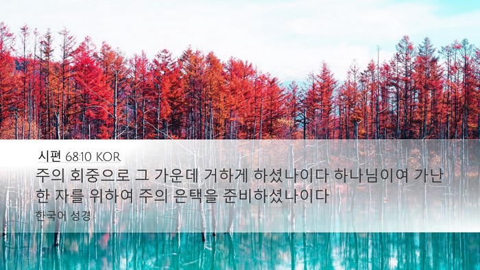 시편 68:10 KOR Desktop Wallpaper - 주의 회중으로 그 가운데 거하게 - Desktop Bible Verse Wallpaper