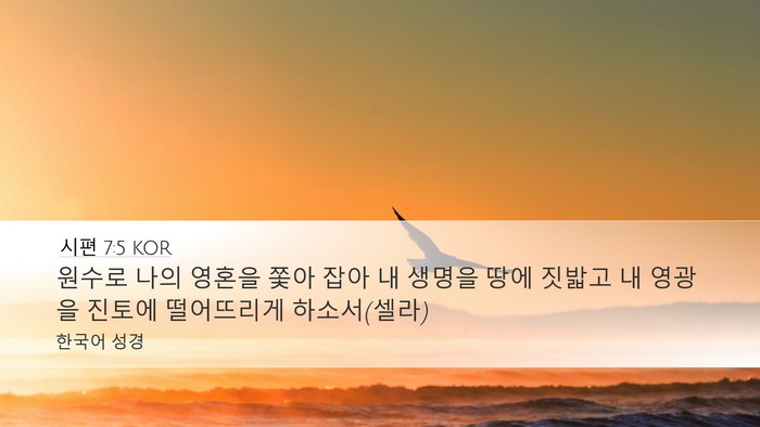 시편 7:5 KOR Bible Verse Image