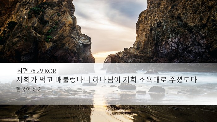 시편 78:29 KOR Bible Verse Image