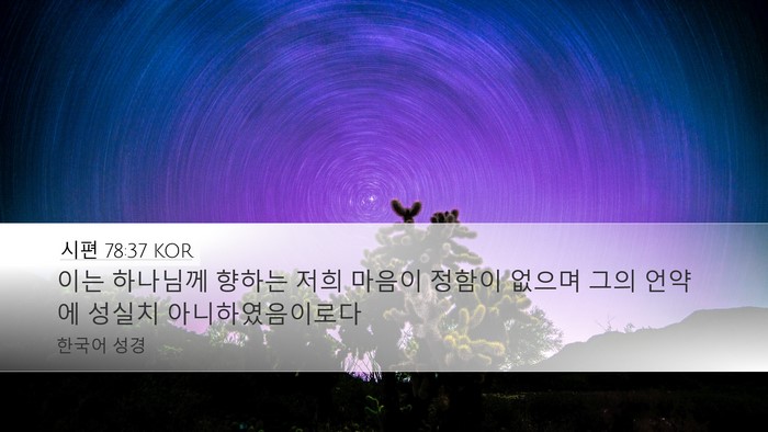 시편 78:37 KOR Bible Verse Image