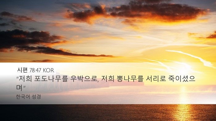 시편 78:47 KOR Desktop Wallpaper - 