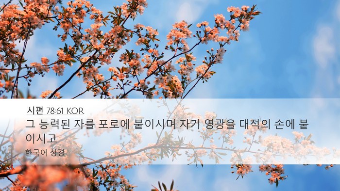 시편 78:61 KOR Bible Verse Image