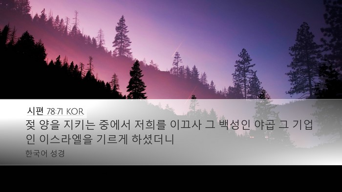 시편 78:71 KOR Desktop Wallpaper - 젖 양을 지키는 중에서 저희를 - Desktop Bible Verse Wallpaper
