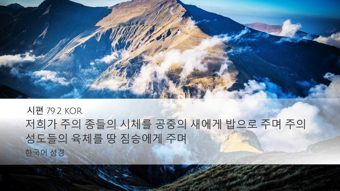 시편 79:2 KOR Bible Verse Image