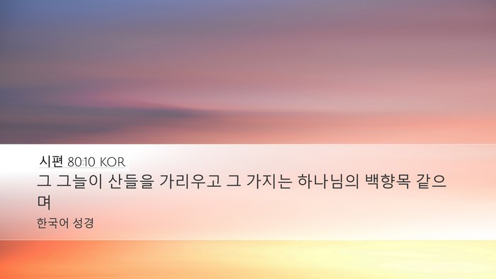 시편 80:10 KOR Bible Verse Image