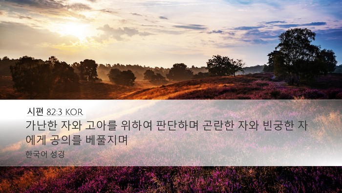 시편 82:3 KOR Bible Verse Image