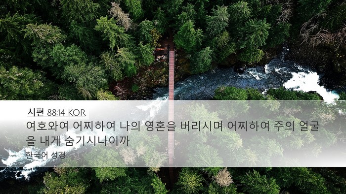 시편 88:14 KOR Bible Verse Image