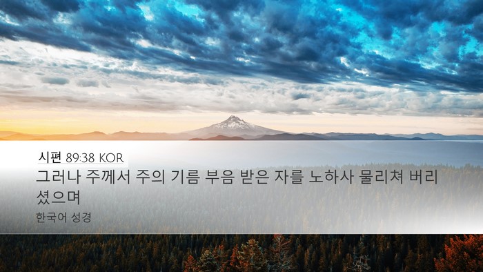 시편 89:38 KOR Bible Verse Image