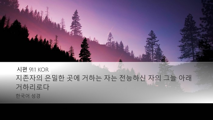 시편 91:1 KOR Bible Verse Image