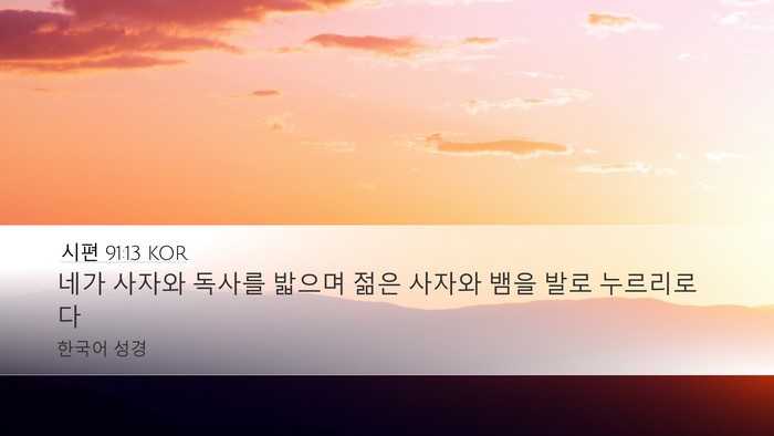 시편 91:13 KOR Bible Verse Image