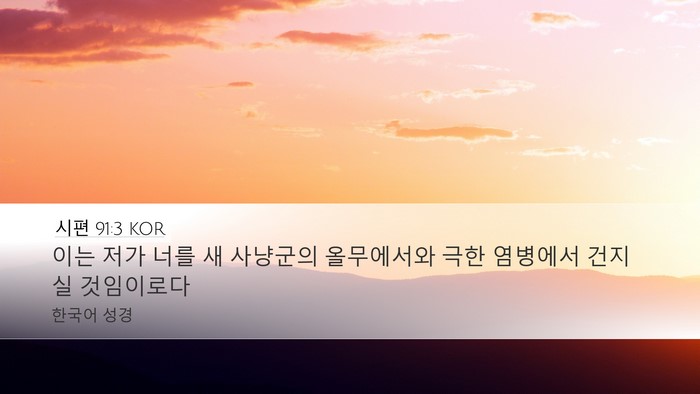 시편 91:3 KOR Desktop Wallpaper - 이는 저가 너를 새 사냥군의 - Desktop Bible Verse Wallpaper