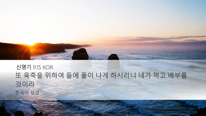 신명기 11:15 KOR Bible Verse Image