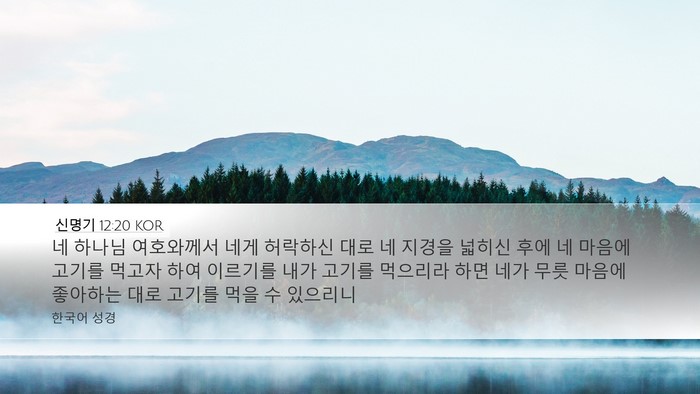 신명기 12:20 KOR Bible Verse Image