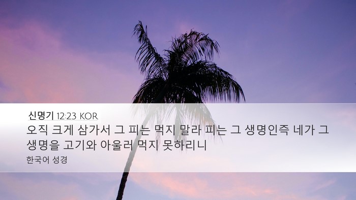 신명기 12:23 KOR Desktop Wallpaper - 오직 크게 삼가서 그 피는 먹지 말라 - Desktop Bible Verse Wallpaper
