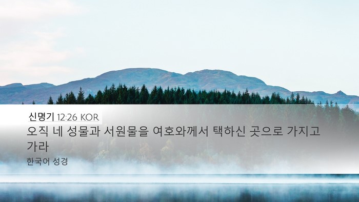 신명기 12:26 KOR Bible Verse Image