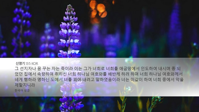 신명기 13:5 KOR Bible Verse Image