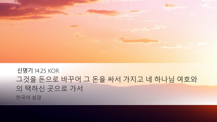 신명기 14:25 KOR Bible Verse Image